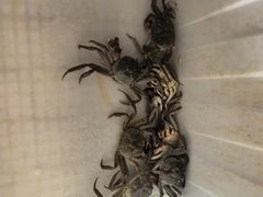 -蟹道河蟹大米商行