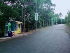 -梧桐山风景名胜区