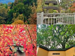 -北山街历史文化街区