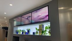 点击看大图 -LESSMORE科技头皮理容中心