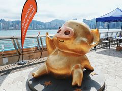 -星光大道
