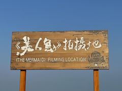-杨梅坑