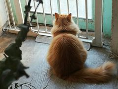 -小时光咖啡馆(北锣鼓巷店)