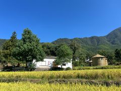 -塔川景区