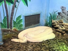 -石家庄市动物园