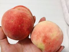 -南窖乡水峪村山情农家