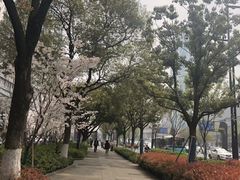 -运河游船(武林门码头)