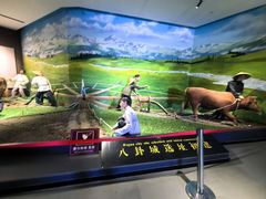 -特克斯八卦城