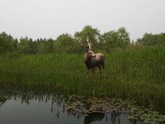 -溱湖国家湿地公园