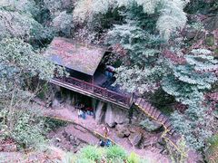 -莫干山风景区