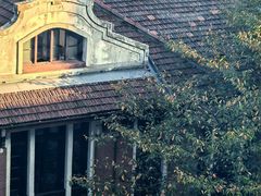 -上海交通大学医学院附属瑞金医院(总院)