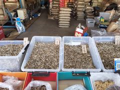 -东方鼎信农副产品交易中心