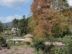 -塔川景区