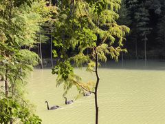 -广州白江湖森林公园