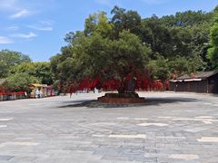 -句容茅山景区