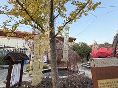 -四季贵州·山地温泉水世界