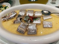 清蒸舟山野生带鱼-香浙汇(望京店)