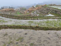 -龙脊梯田