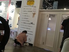 -喵匠猫主题咖啡(凯德和平广场店)