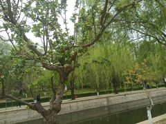 -元大都城垣遗址公园