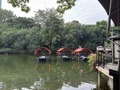 -侨美·唐荔园·40年地道粤菜