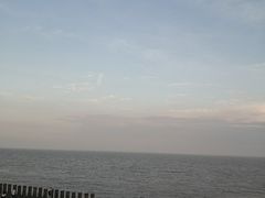 -碧海金沙