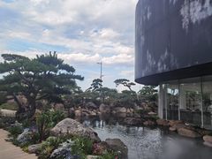 -罗红摄影艺术馆