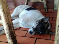 -兔行天下-鸿鹤鲜锅兔(中海国际店)