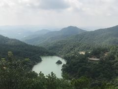 -广州白江湖森林公园