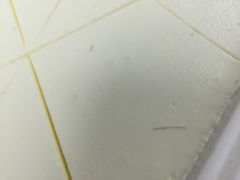 -21cake廿一客蛋糕