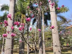 -广州莲花山旅游区