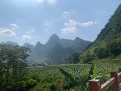 -长寿村