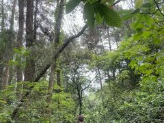 -大面山