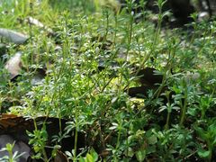 -北仑森林植物园