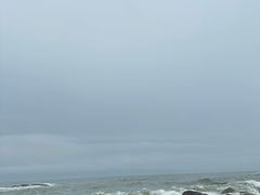 -广东惠东海龟国家级自然保护区