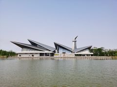 -盐城丹顶鹤湿地生态旅游区