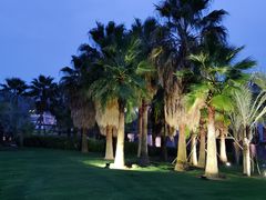 -厦门国家会计学院