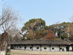 -红梅公园