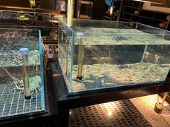 -璞御·海鲜·雪花牛肉局(宾水西道店)