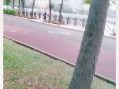 -万绿园