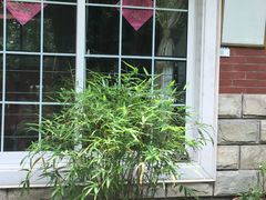 -随意茶庄·地道杭帮农家菜(梅家坞店)