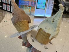 -野人先生现做冰淇淋(北京顺义祥云小镇店)