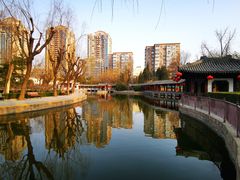 -团结湖公园