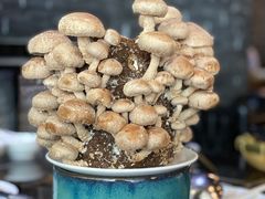 -捞王锅物料理(温州万象城店)