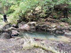 -香炉山国家森林公园