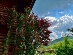 -九如山休闲旅游度假区