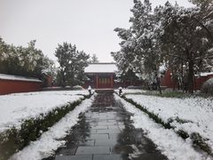 -洛阳白马寺