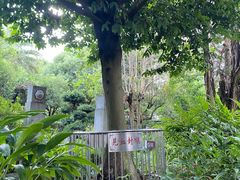 -广州神农草堂中医药博物馆