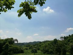 -东莞植物园