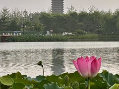 -西海子公园